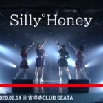 Silly°Honey 2020.06.14＠吉祥寺 club SEATA
